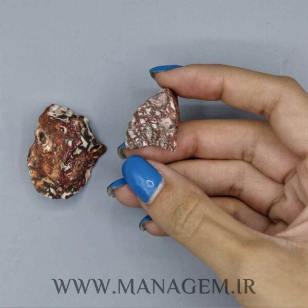 سنگ راف جاسپر اقیانوسی
